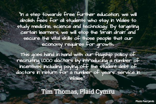 Tim Thomas, Plaid Cymru